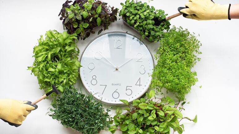 ¿Buscas una nueva decoración? Aquí te damos 3 ideas para crear un reloj falso