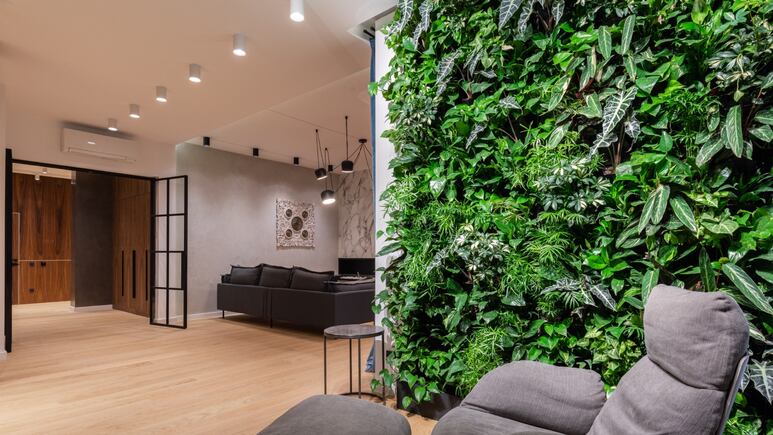 Plantas de interior: ¿Cómo hacer un muro verde en casa con poco dinero?