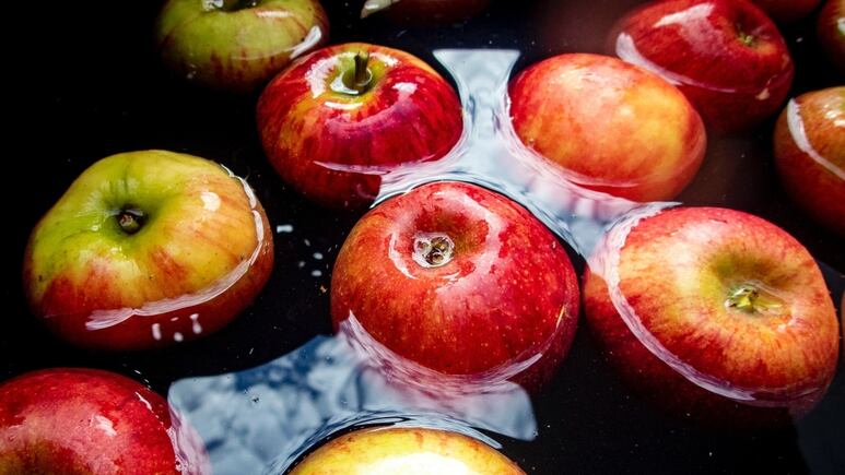Jardinería: ¿Cómo germinar semillas de manzana fácil y rápido?