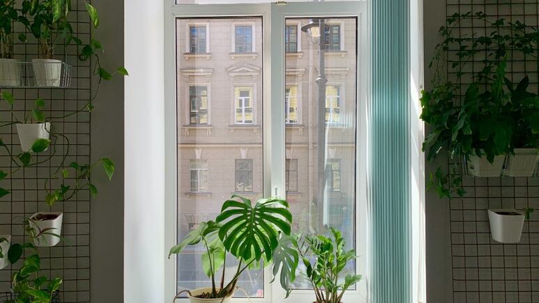 3 mini macetas para plantas que debes tener en casa para decorar elegante