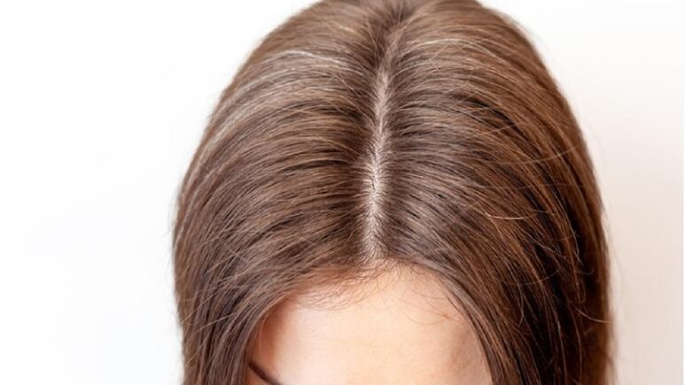 Antiedad: 5 plantas para retocar la raíz en cabello con canas y mechas (SIN TINTE)
