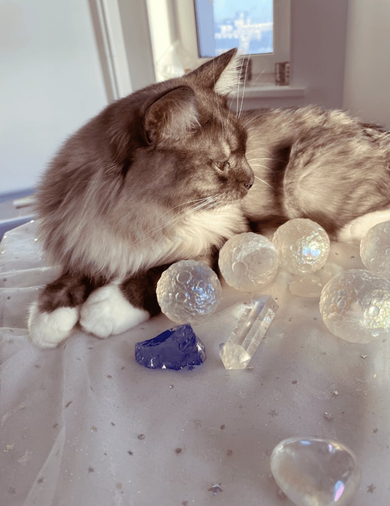 Piedra de obsidiana lista para ritual de limpieza energética para mascota