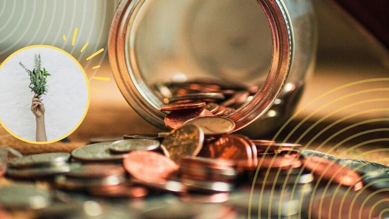 Guarda esta hierba aromática en tu casa para atraer dinero y abundancia