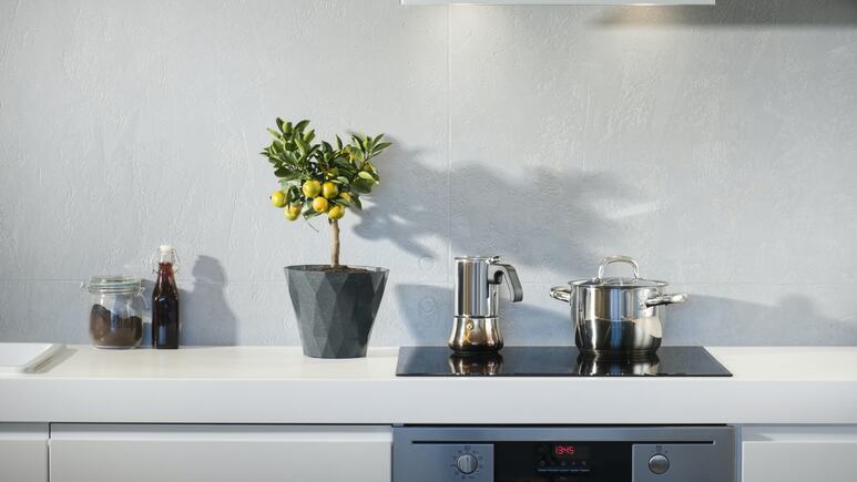 Feng Shui: ¿Qué NO debe faltar en tu cocina para atraer la prosperidad y la abundancia?