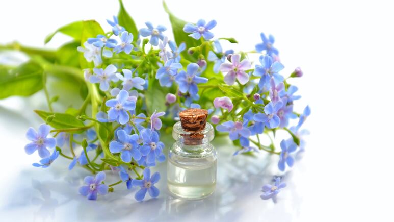 Feng Shui: 5 aceites esenciales que debes tener para atraer el dinero