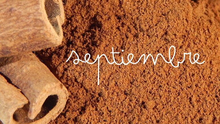 Rituales con canela para septiembre. Foto: Canva