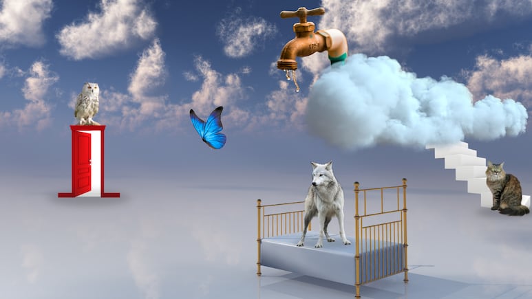 Diccionario de sueños espirituales: símbolos clave que aparecen en tiempos de cambio