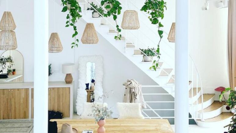 Hogar: 4 plantas colgantes de crecimiento rápido para decorar el exterior e interior de la casa