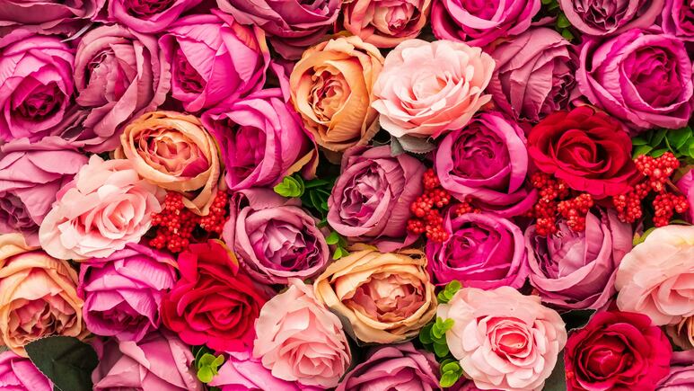 Flores para San Valentín