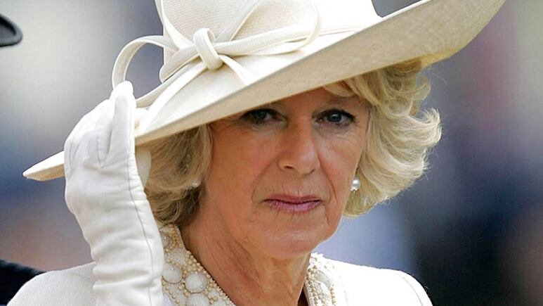 Esto hizo la Reina Camilla para dejar de recibir críticas por su ropa