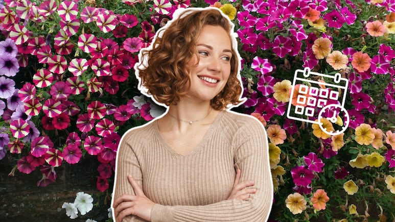 FLORES DEL MES DE NACIMIENTO