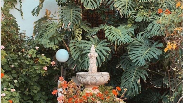 Jardín exterior: 4 ideas para decorar tu patio pequeño con fuentes SENCILLAS, MODERNAS y ECONÓMICAS