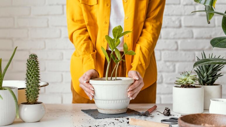 5 plantas que podrían ser un peligro para tu salud
