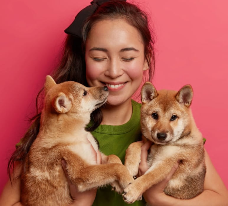 Tu mascota también necesita protección energética