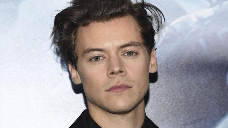 ¿Harry Styles lanzará una marca de maquillaje? Aquí los detalles