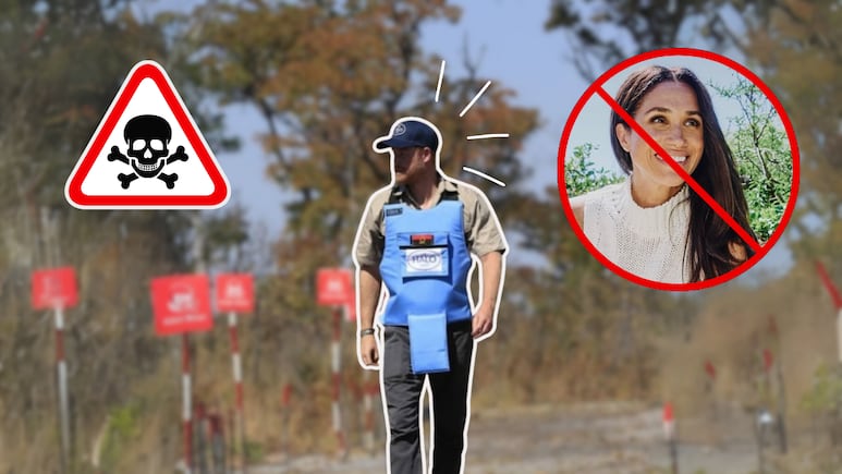 ¿Por qué Meghan Markle no fue con Harry a África Esto alimenta los rumores de crisis matrimonial