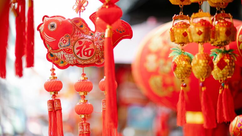Feng Shui: Aplica la teoría de los 5 elementos para equilibrar las energías del hogar