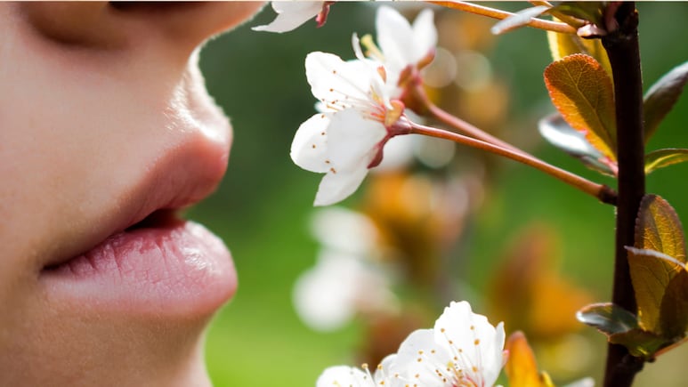 oler flores