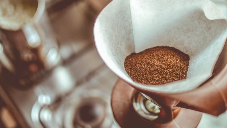 Jardinería: ¿Cómo usar filtros de café para abonar plantas?