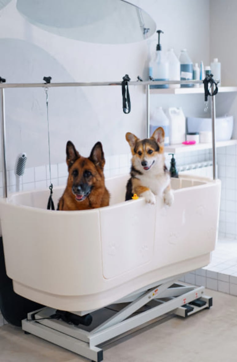 Baño energético con agua de hierbas