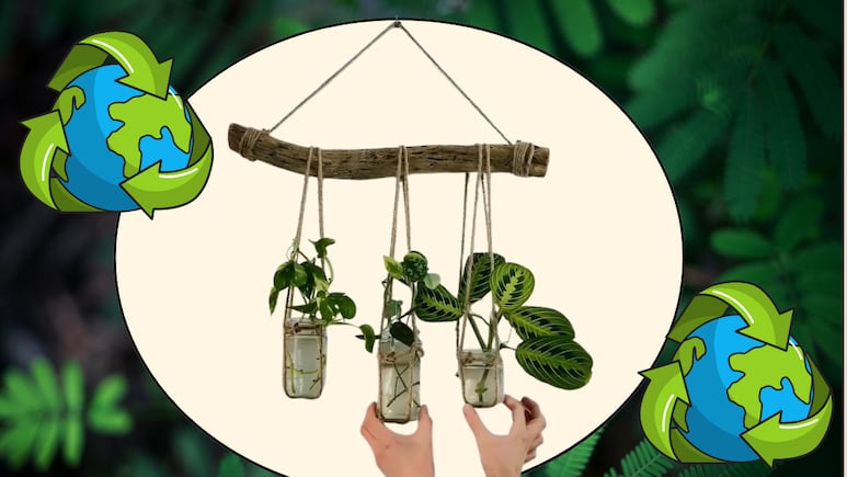 diy-toque-rustico-colgante-pared-frascos-tronco-plantas-agua
