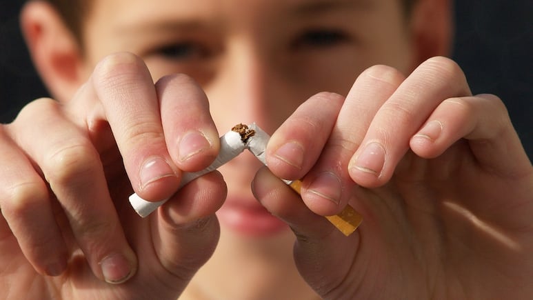 Remedios Caseros: 4 plantas que te ayudan a dejar el cigarro y a mejorar tu salud