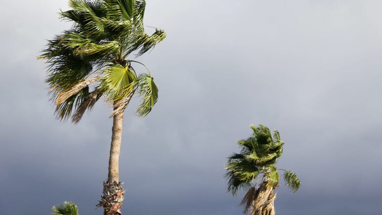 tormenta tropical