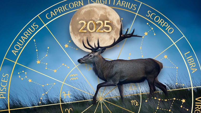 Luna llena de julio 2024 en Capricornio, conocida como Luna del Ciervo