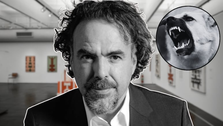 inarritu-lanza-sueno-perro-instalacion-amores-perros