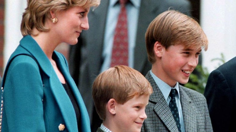 Lady Di, Harry y William