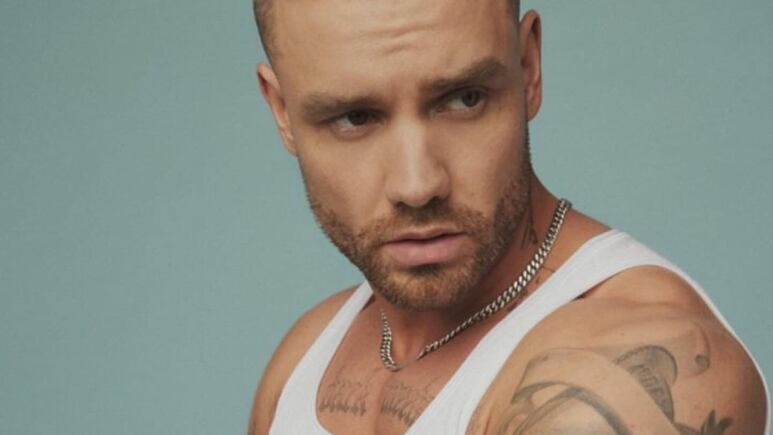 Fans protegen a Liam Payne.