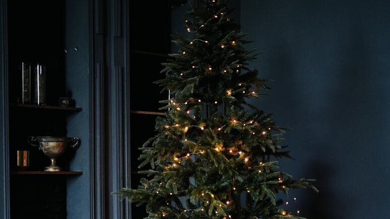 Feng Shui: ¿Cómo decorar tu árbol de Navidad para atraer el amor, según esta práctica china?