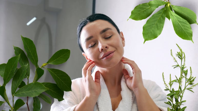Té de plantas para tener piel de porcelana. Foto: Canva
