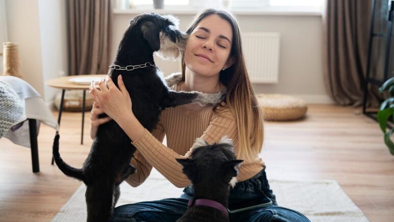 ¿Cómo quitar los pelos de perro de la ropa? 2 poderosos ingredientes de cocina que sí los eliminan