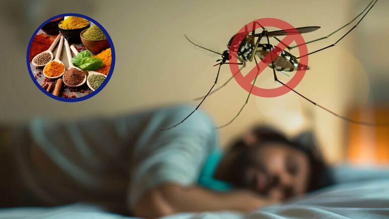 Truco casero con especia de cocina para alejar mosquitos nocturnos