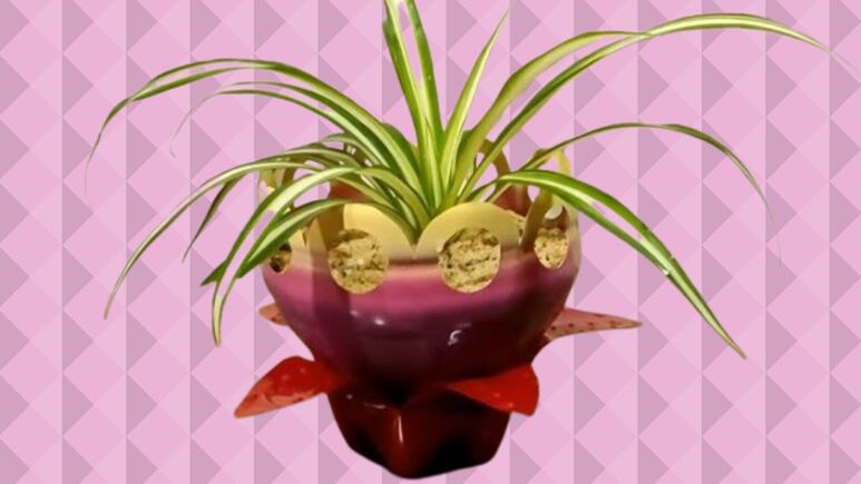 DIY: Haz una maceta que es perfecta para plantas mini usando una botella de plástico