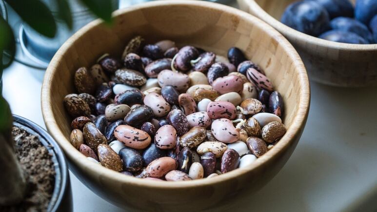 Jardinería: ¿Cómo hacer un abono casero con frijol para revivir tus plantas?
