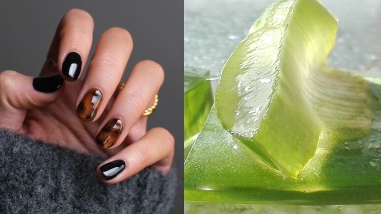 Sábila: Truco fácil con aloe vera para fortalecer uñas quebradizas y hacerlas crecer rápido