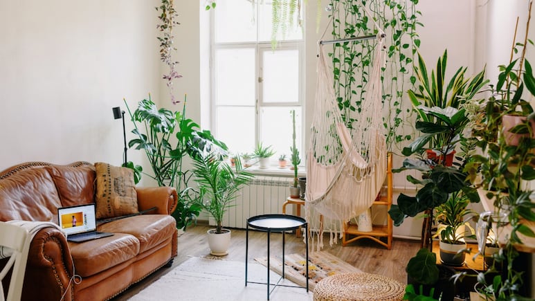 5 ideas para decorar tu casa con plantas colgantes al estilo boho