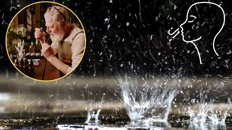¿Qué es el Petricor El misterioso olor a lluvia que despierta tus recuerdos