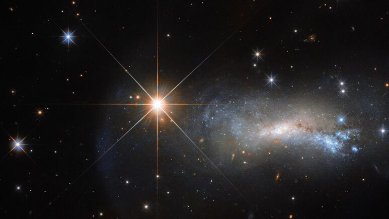 Horóscopo: ¿Qué nuevo signo zodiacal eres, según la NASA?