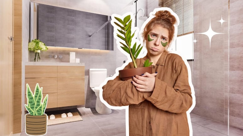 baño planta