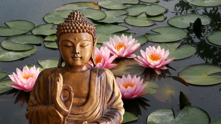 Beneficios espirituales de tener una flor de loto en casa Símbolo de pureza y protección