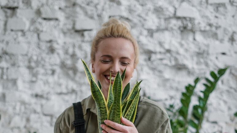 Jardinería: Haz un abono casero para revivir plantas FÁCIL y RÁPIDO