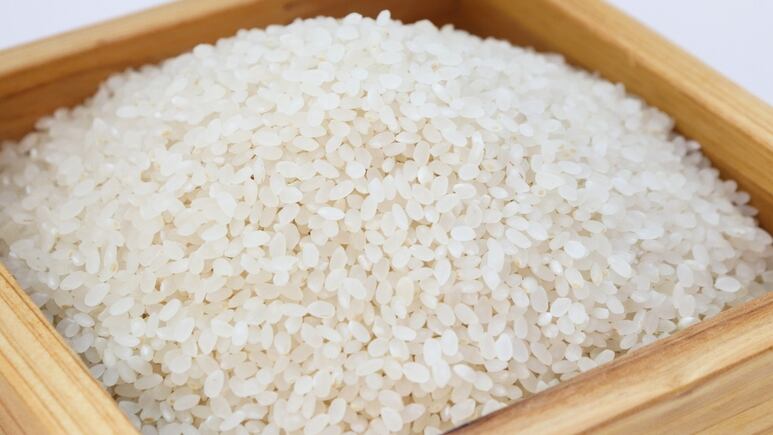 Jardinería: Conoce los beneficios del arroz crudo en las plantas