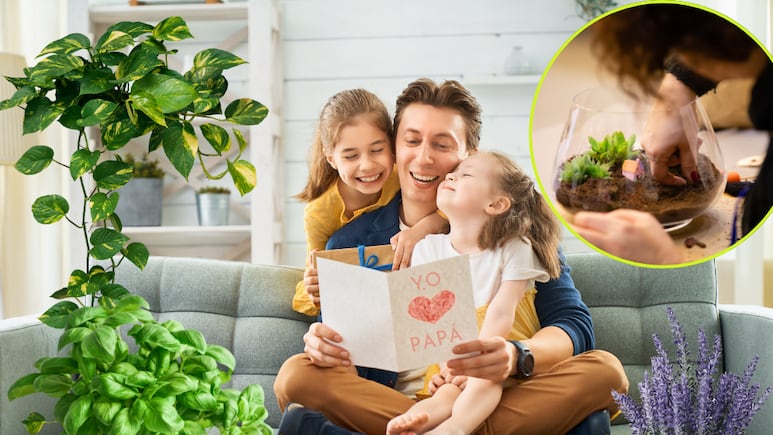7 plantas fáciles para padres modernos dia del padre