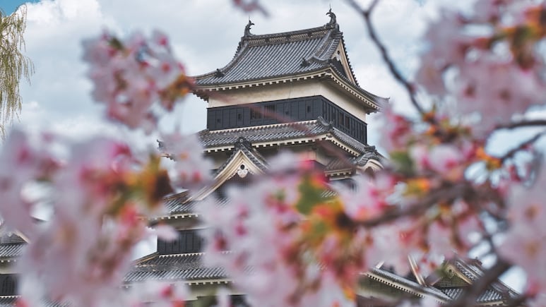 Juegos Olímpicos de Tokio 2020: ¿Cuál es la flor que inspiró el diseño de la antorcha olímpica?