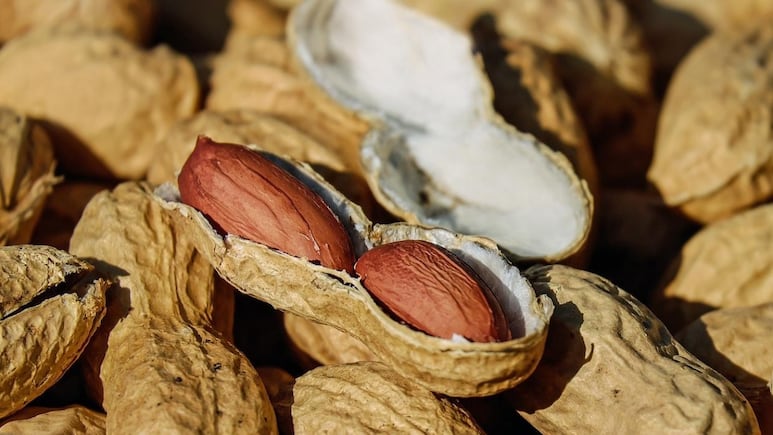 Jardinería: Convierte la cáscara de cacahuate en un poderoso abono para plantas