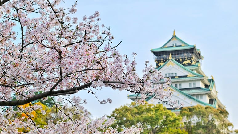 5 flores exóticas de Japón que tienes que conocer: FOTOS