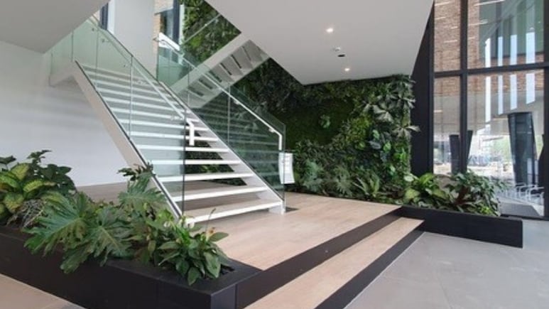 ¿Qué plantas de interior necesitas para hacer un muro verde en tu casa?